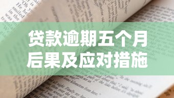 贷款逾期五个月后果及应对措施全解析