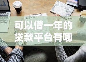 可以借一年的贷款平台有哪些？这10家正规机构值得考虑
