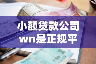 小额贷款公司wn是正规平台吗？贷款条件及风险解析