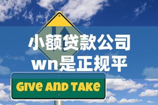 小额贷款公司wn是正规平台吗？贷款条件及风险解析