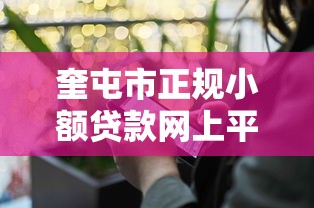 奎屯市正规小额贷款网上平台推荐：快速放款，安全可靠