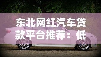 东北网红汽车贷款平台推荐：低利率快速审批购车攻略