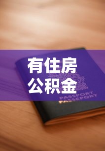 有住房公积金如何快速申请2万贷款？推荐这几个正规平台