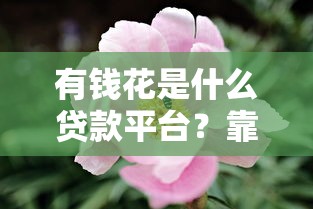 有钱花是什么贷款平台？靠谱吗？全面解析度小满旗下信贷产品