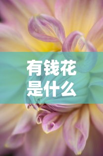 有钱花是什么贷款平台？靠谱吗？全面解析度小满旗下信贷产品