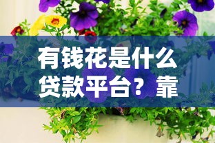有钱花是什么贷款平台？靠谱吗？全面解析度小满旗下信贷产品