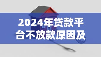 2024年贷款平台不放款原因及应对策略解析