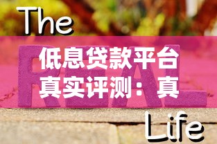低息贷款平台真实评测：真的能省钱还是智商税？