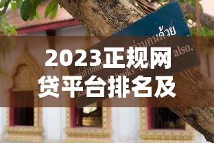 2023正规网贷平台排名及避坑指南
