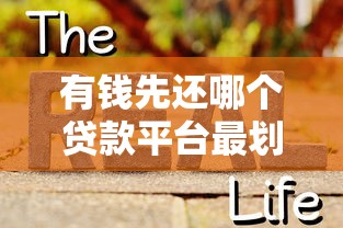 有钱先还哪个贷款平台最划算？真实还款顺序攻略