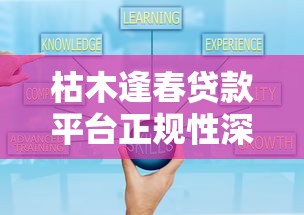 枯木逢春贷款平台正规性深度解析：安全可靠吗？