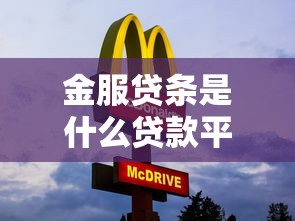 金服贷条是什么贷款平台？正规贷款产品解析
