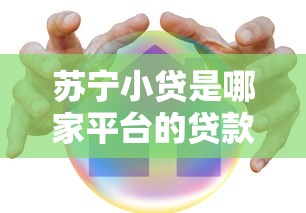 苏宁小贷是哪家平台的贷款产品？全面解析其背景与特点