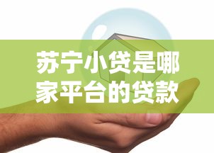 苏宁小贷是哪家平台的贷款产品？全面解析其背景与特点