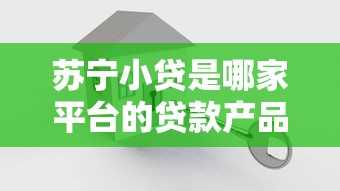 苏宁小贷是哪家平台的贷款产品？全面解析其背景与特点