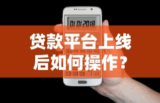 贷款平台上线后如何操作？新用户必看详细步骤