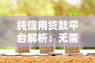 纯信用贷款平台解析：无需抵押，快速到账的借款新选择