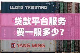贷款平台服务费一般多少?2023年最新收费标准解析 贷款平台服务费一般多少?2023年最新收费标准解析