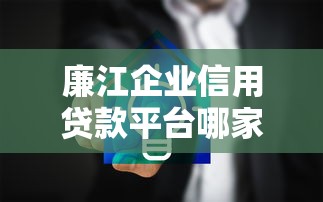 廉江企业信用贷款平台哪家好？企业融资攻略详解