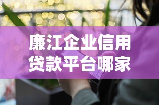 廉江企业信用贷款平台哪家好？企业融资攻略详解