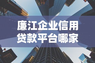 廉江企业信用贷款平台哪家好？企业融资攻略详解