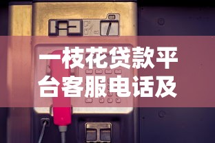 一枝花贷款平台客服电话及贷款服务全解析