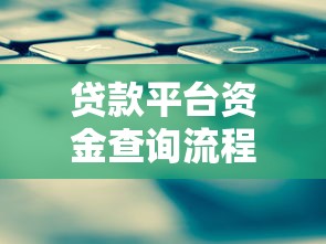 贷款平台资金查询流程图及操作指南