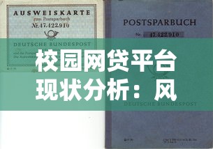 校园网贷平台现状分析：风险与选择指南
