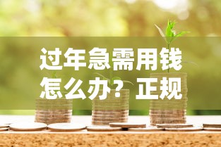 过年急需用钱怎么办？正规贷款平台推荐