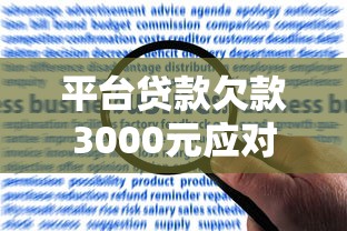 平台贷款欠款3000元应对策略与解决方案