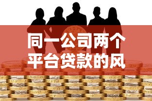 同一公司两个平台贷款的风险与注意事项分析