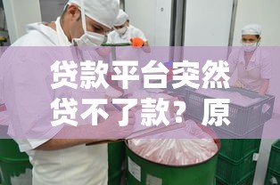 贷款平台突然贷不了款？原因及解决办法全解析