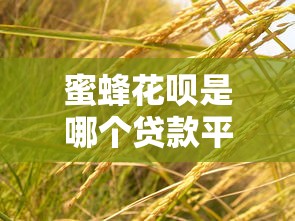 蜜蜂花呗是哪个贷款平台？正规贷款产品详细解析