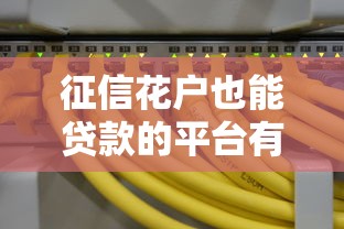征信花户也能贷款的平台有哪些？这10个渠道通过率高！