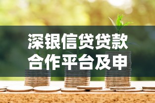 深银信贷贷款合作平台及申请流程解析