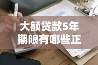 大额贷款5年期限有哪些正规平台？一篇文章全解析
