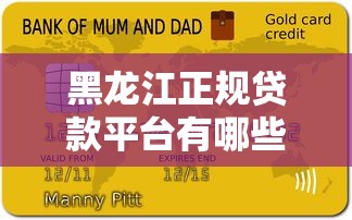黑龙江正规贷款平台有哪些？本地人常选这8家