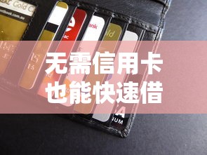无需信用卡也能快速借款！十大正规贷款平台推荐