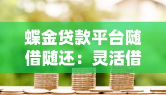 蝶金贷款平台随借随还：灵活借贷的实用指南