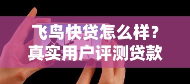 飞鸟快贷怎么样？真实用户评测贷款流程及注意事项