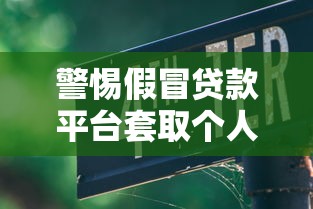 警惕假冒贷款平台套取个人信息：识别与防范全指南