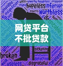 网贷平台不批贷款怎么办？7个真实解决步骤详解