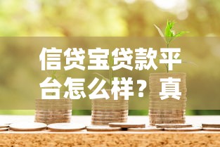 信贷宝贷款平台怎么样？真实用户评价与申请流程解析