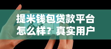 提米钱包贷款平台怎么样？真实用户评测与申请攻略