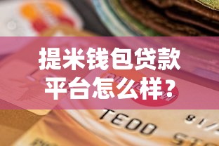 提米钱包贷款平台怎么样？真实用户评测与申请攻略