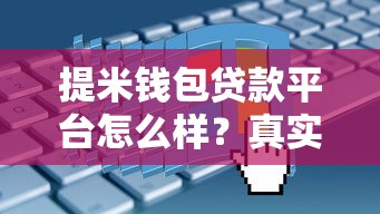 提米钱包贷款平台怎么样？真实用户评测与申请攻略