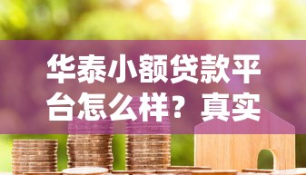 华泰小额贷款平台怎么样？真实用户评测与申请流程解析