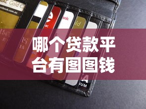 哪个贷款平台有图图钱包？2023最新推荐及使用指南