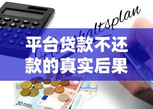 平台贷款不还款的真实后果及应对指南