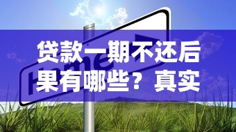 贷款一期不还后果有哪些？真实影响与应对指南